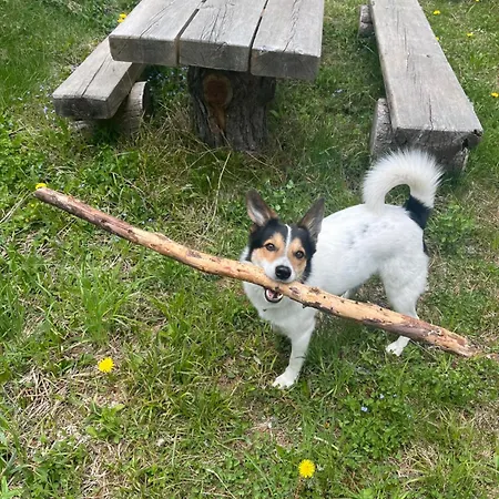 Holiday home Almhaus Murtal Zirbenland *