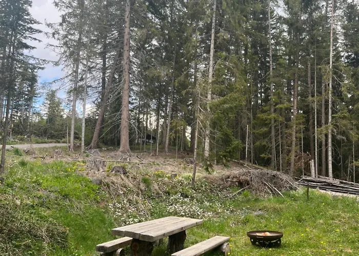 Almhaus Murtal Zirbenland بيت للعطل *